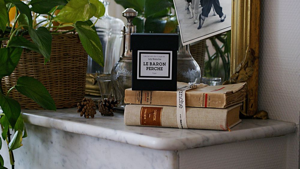 Candles - Le Baron Perché - LILY BLANCHE