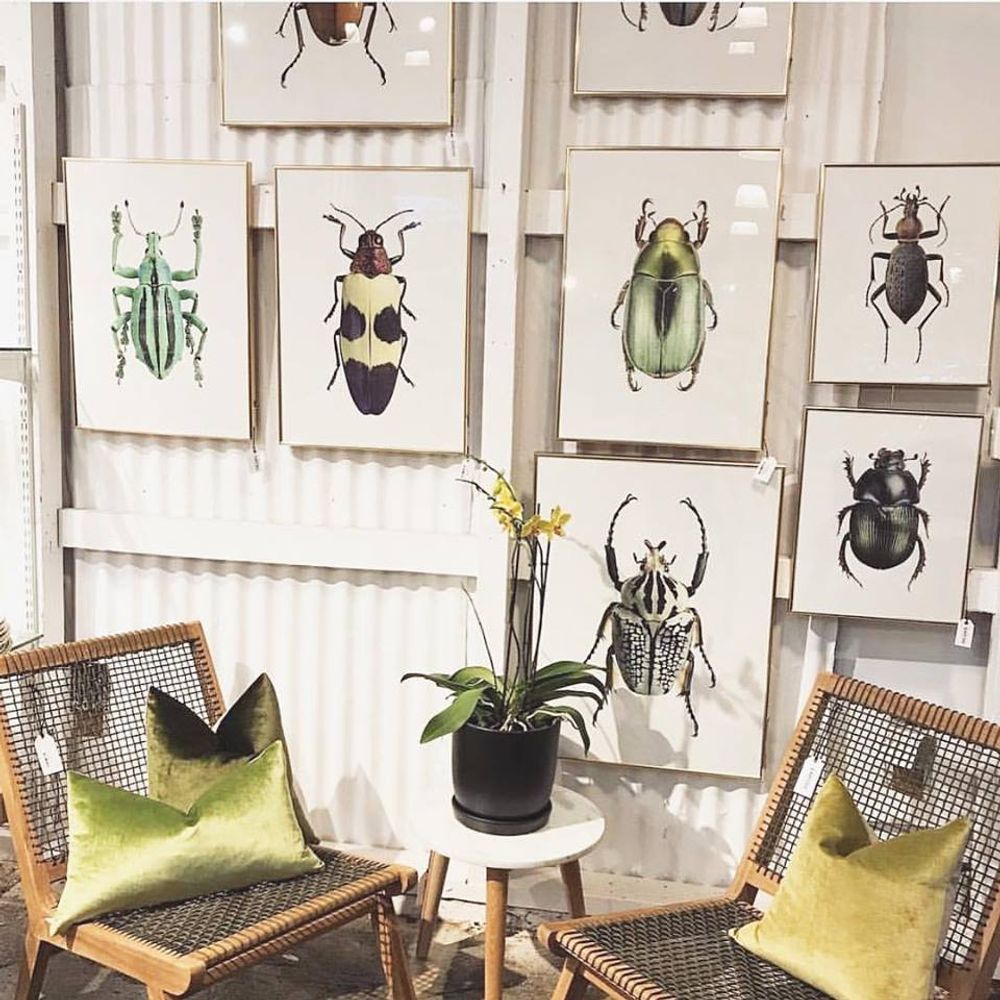 Frames - Framed art prints - LILJEBERGS