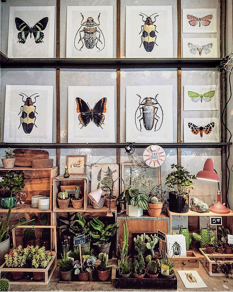 Frames - Framed art prints - LILJEBERGS