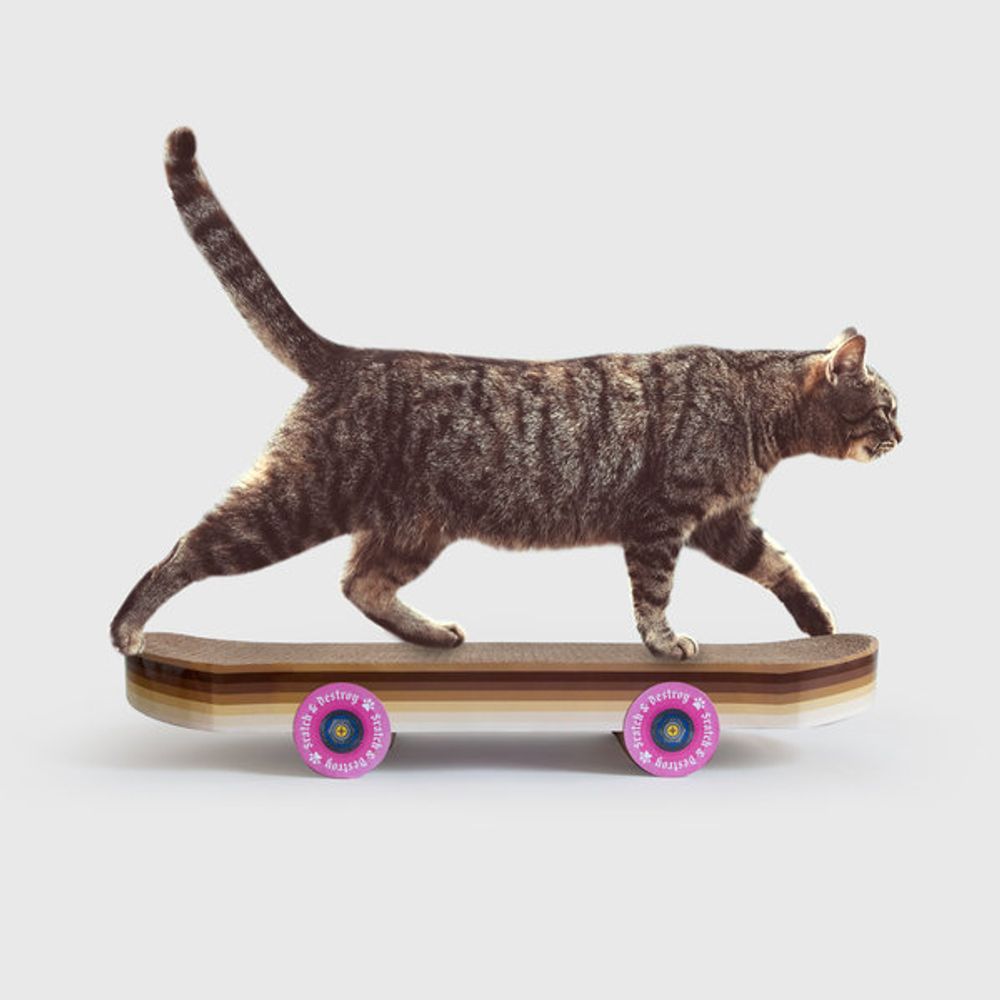 Decorative objects - Cat scratcher skateboard - SUCK UK