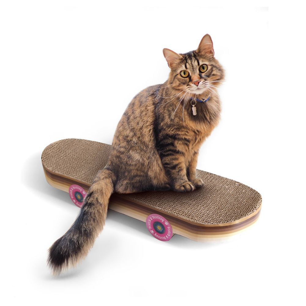 Decorative objects - Cat scratcher skateboard - SUCK UK