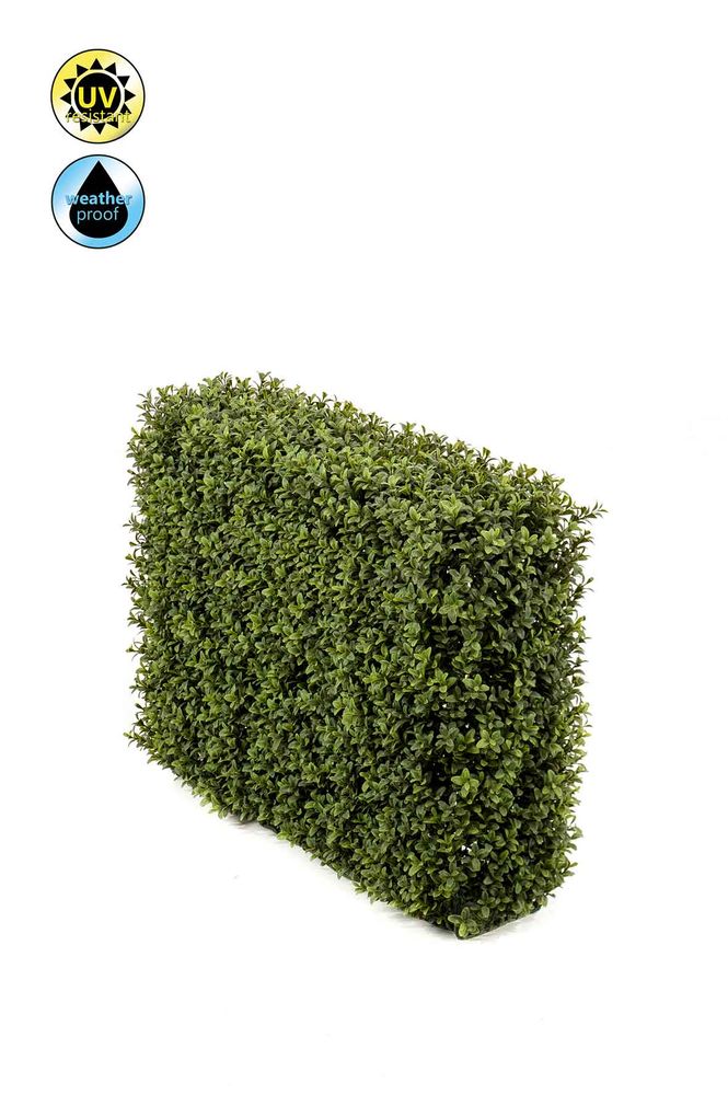 Objets de décoration - Collection UV Buxus - EMERALD ETERNAL GREEN BV