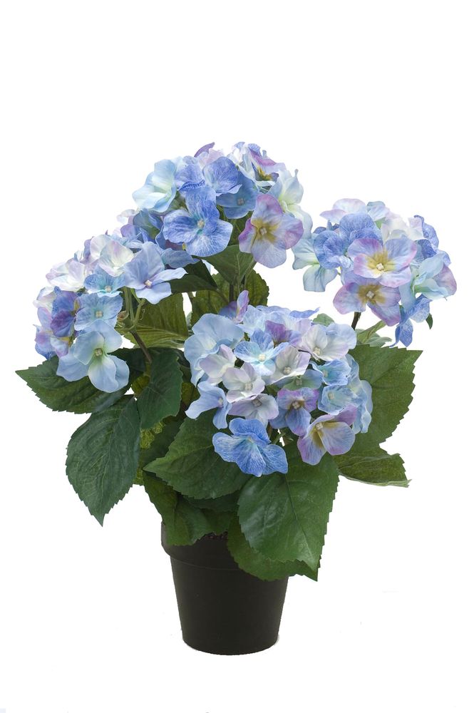 Décorations florales - Plantes à fleurs artificielles - EMERALD ETERNAL GREEN BV