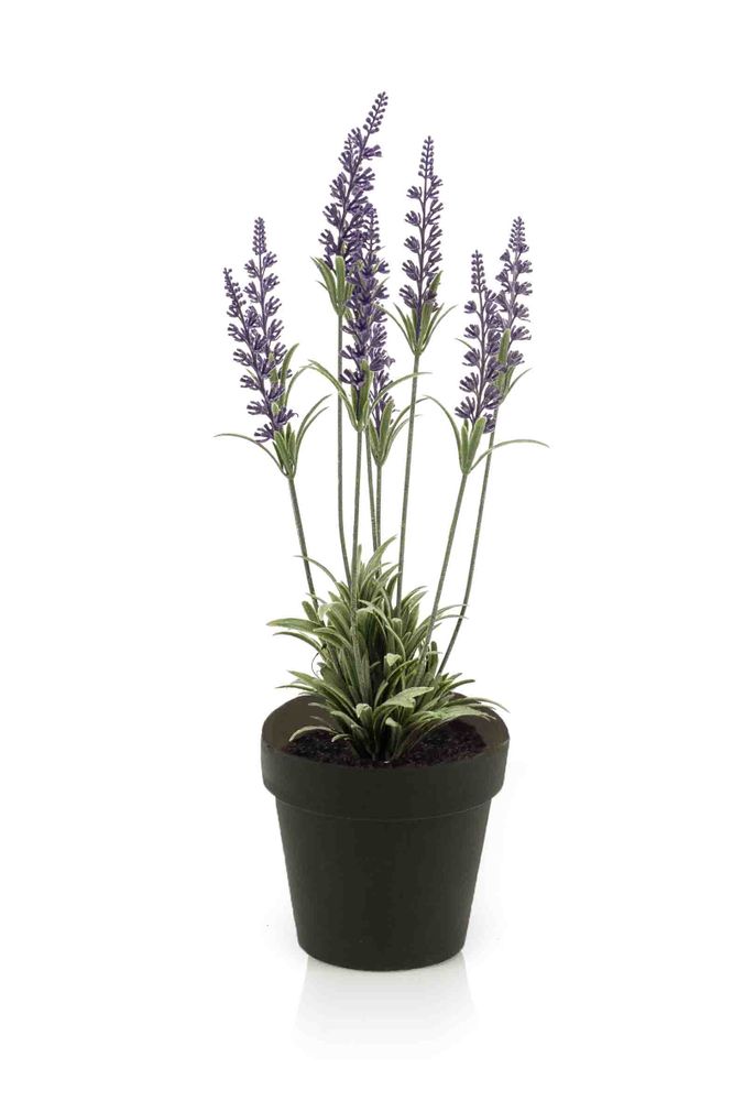 Décorations florales - Plantes à fleurs artificielles - EMERALD ETERNAL GREEN BV
