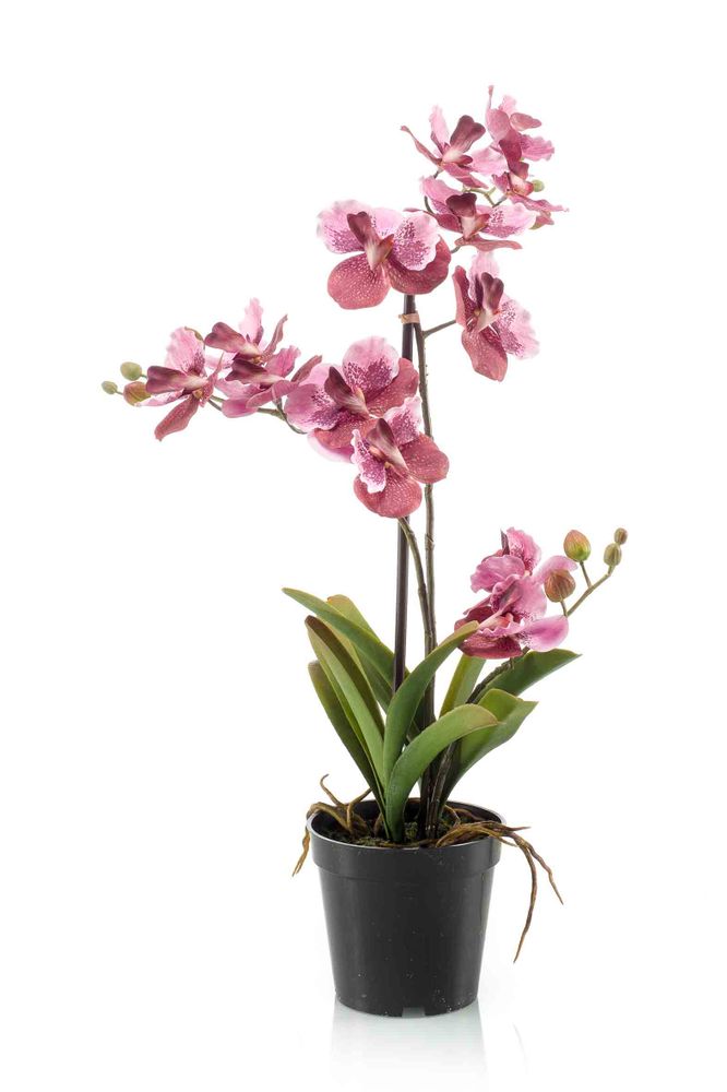 Décorations florales - Plantes à fleurs artificielles 2 - EMERALD ETERNAL GREEN BV