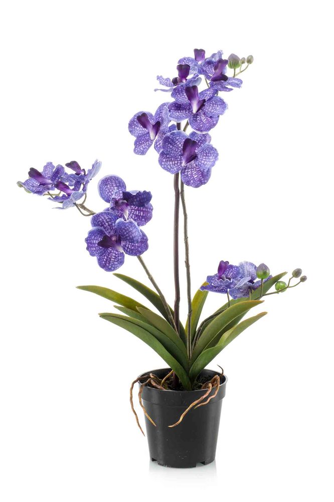 Décorations florales - Plantes à fleurs artificielles 2 - EMERALD ETERNAL GREEN BV