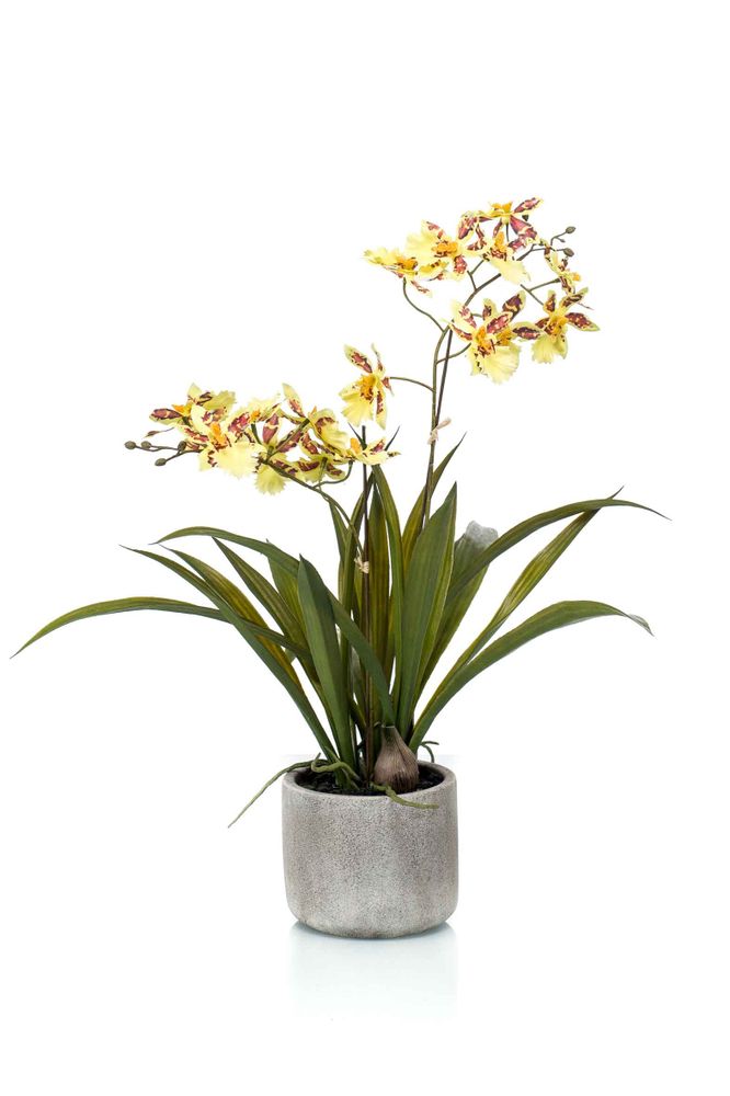Décorations florales - Plantes à fleurs artificielles 2 - EMERALD ETERNAL GREEN BV
