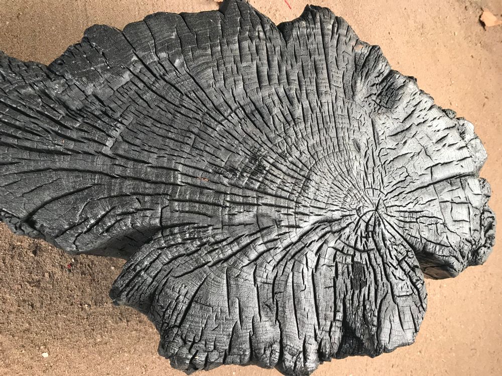 Pièces uniques - Bois brulé Shou-Sugi-Ban - DECO-NATURE