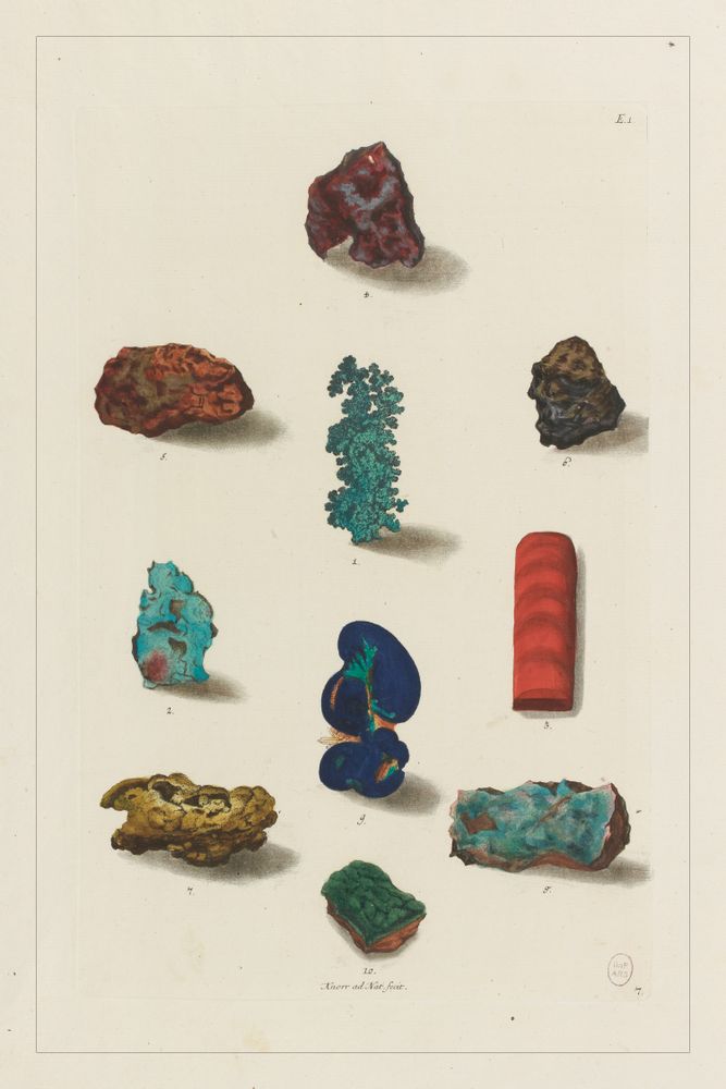 Affiches - AFFICHE I Coffret cabinet de curiosités murales - LES JOLIES PLANCHES