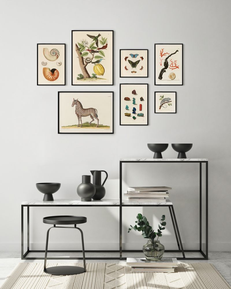 Affiches - AFFICHE I Coffret cabinet de curiosités murales - LES JOLIES PLANCHES