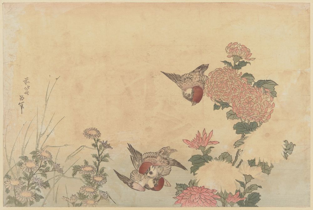 Poster - POSTERS/Japanese prints, art print on repositionable adhesive canvas - LES JOLIES PLANCHES