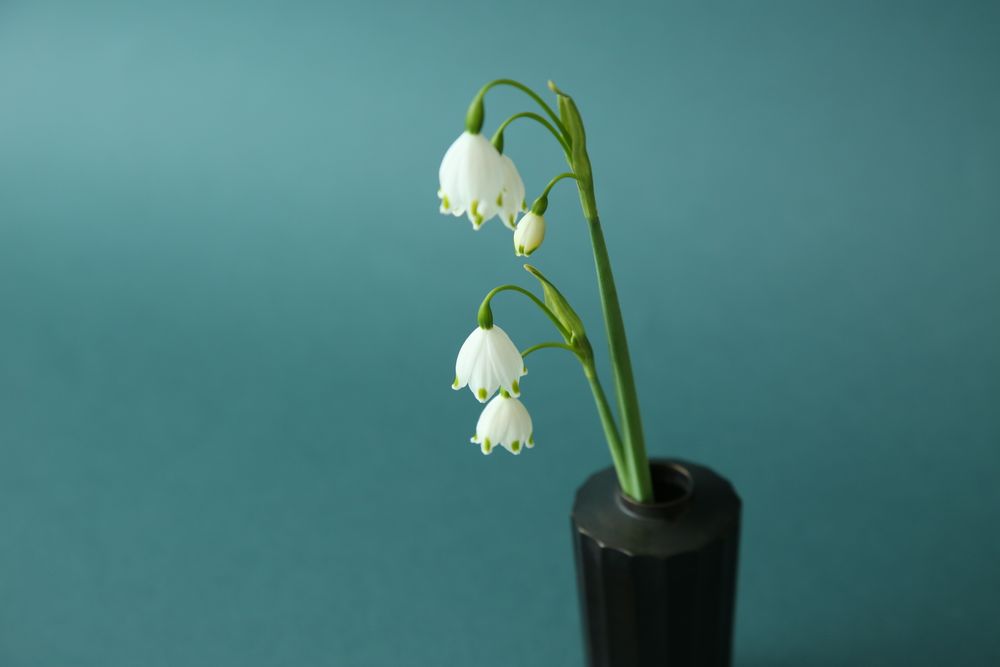 Vases - GUSOKU - Hexadecagon - brass flower vase - NOUSAKU