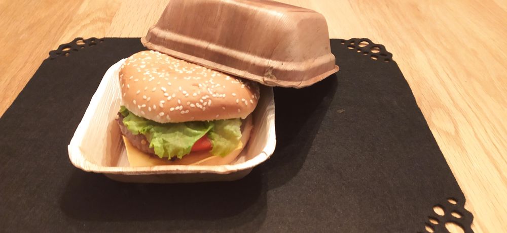 Assiettes au quotidien - Set de 4 boites à Hamburger ( 16cm x 9cm) - ARECABIO