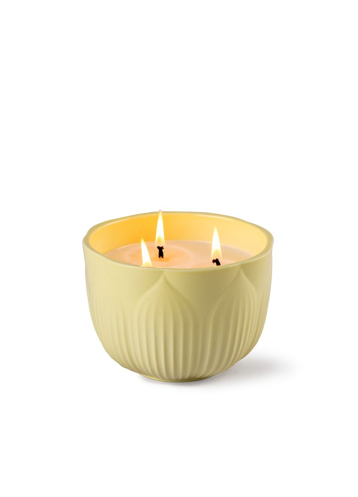 Home fragrances - Fleurs Collection - Lladró Handmade Porcelain Home Fragrances Diffuser & Candle - LLADRÓ