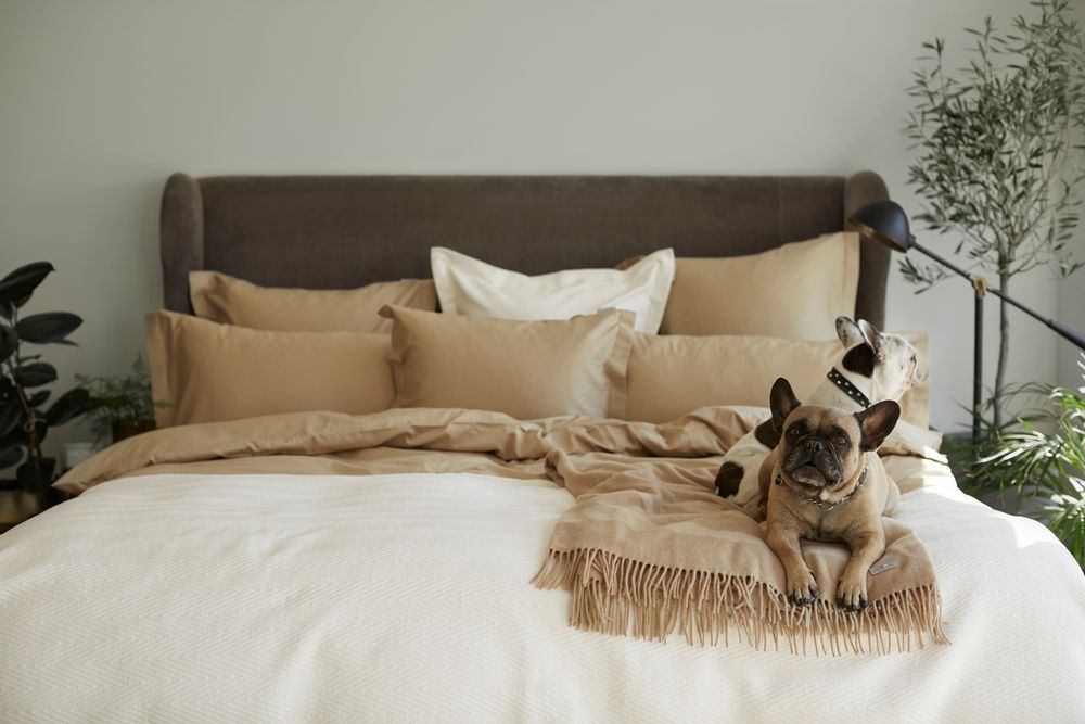 Throw blankets - Hotel Collection Wool Throw - LEXINGTON COMPANY