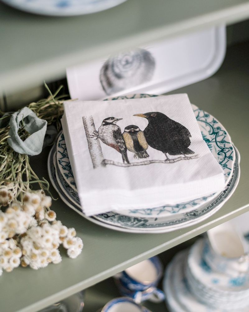 Children's party goods - Paper Napkins - CHARLOTTE NICOLIN