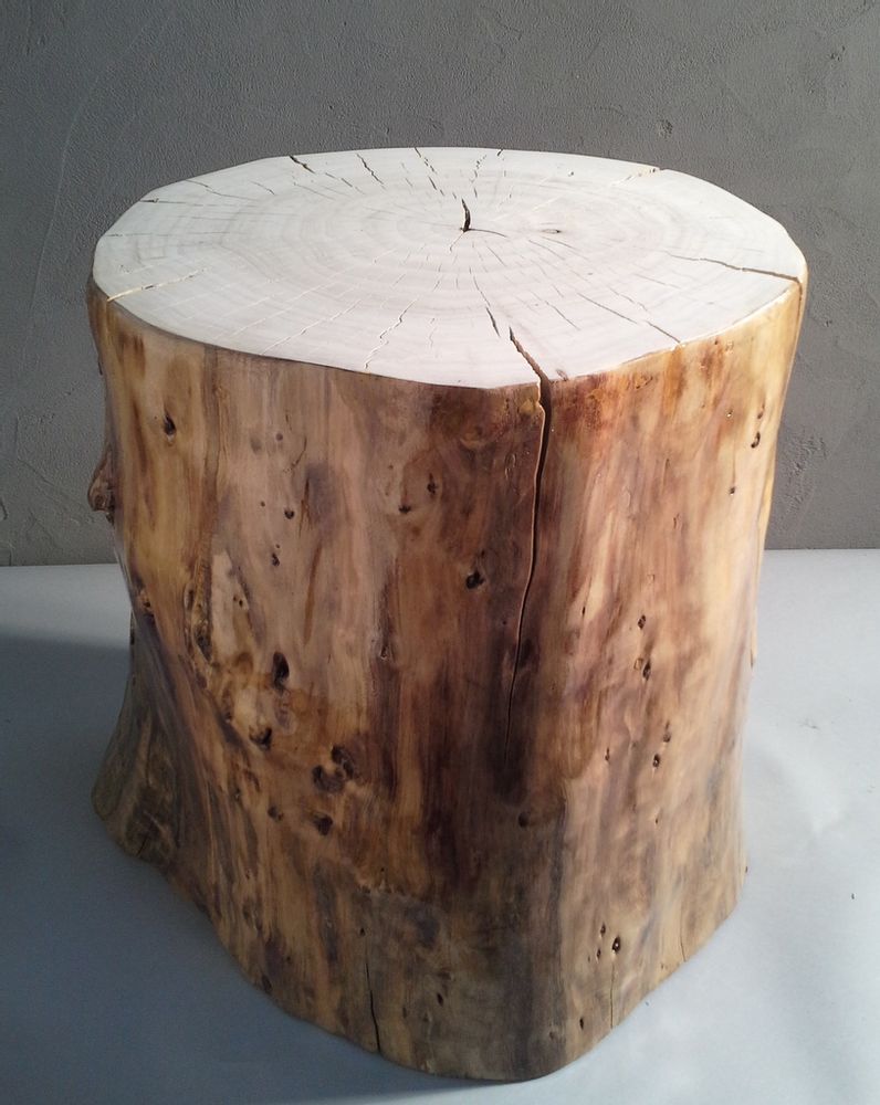Conference tables - Driftwood bench and stool - DECO-NATURE