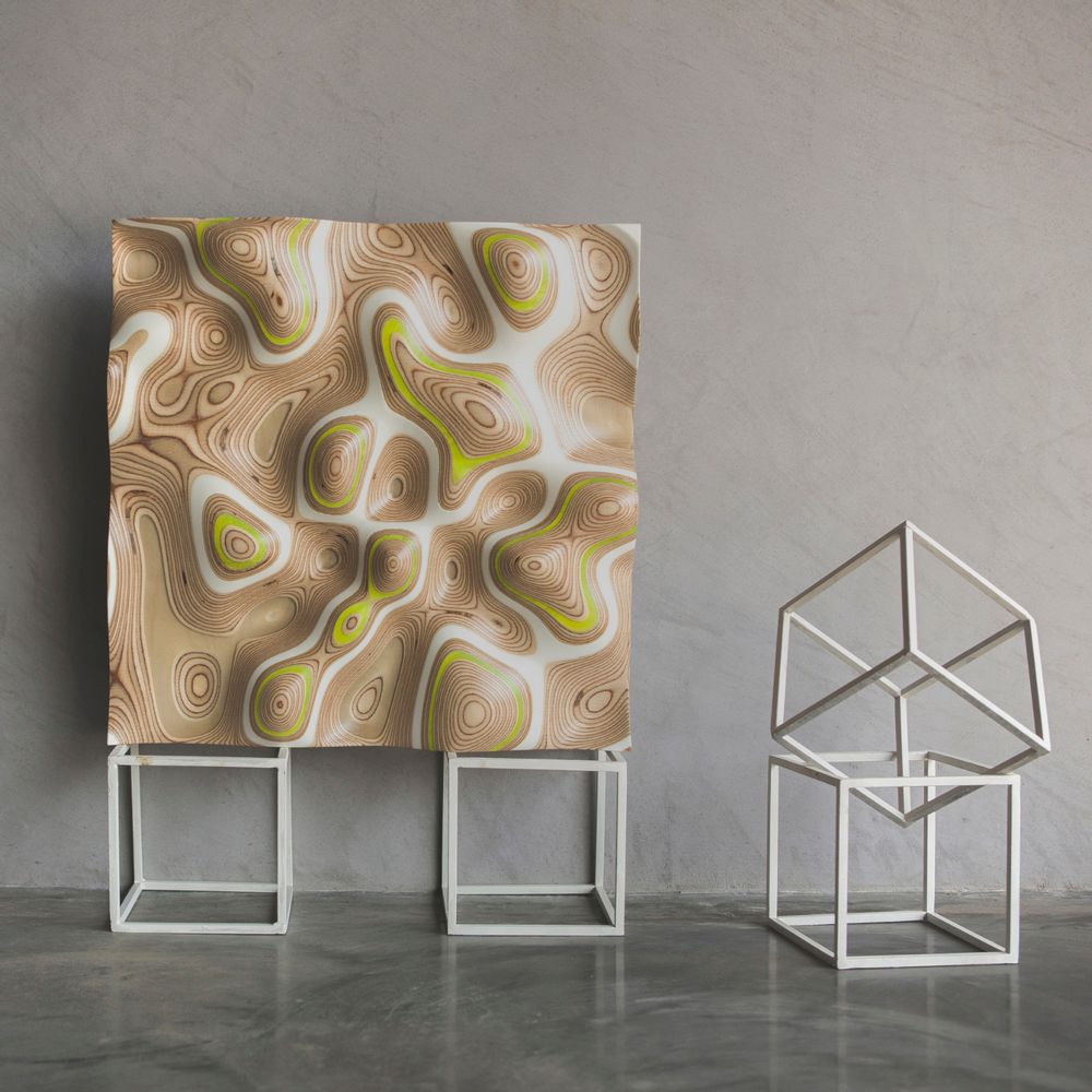 Decorative objects - DIGISCAPE Wall artwork - APICAL REFORM