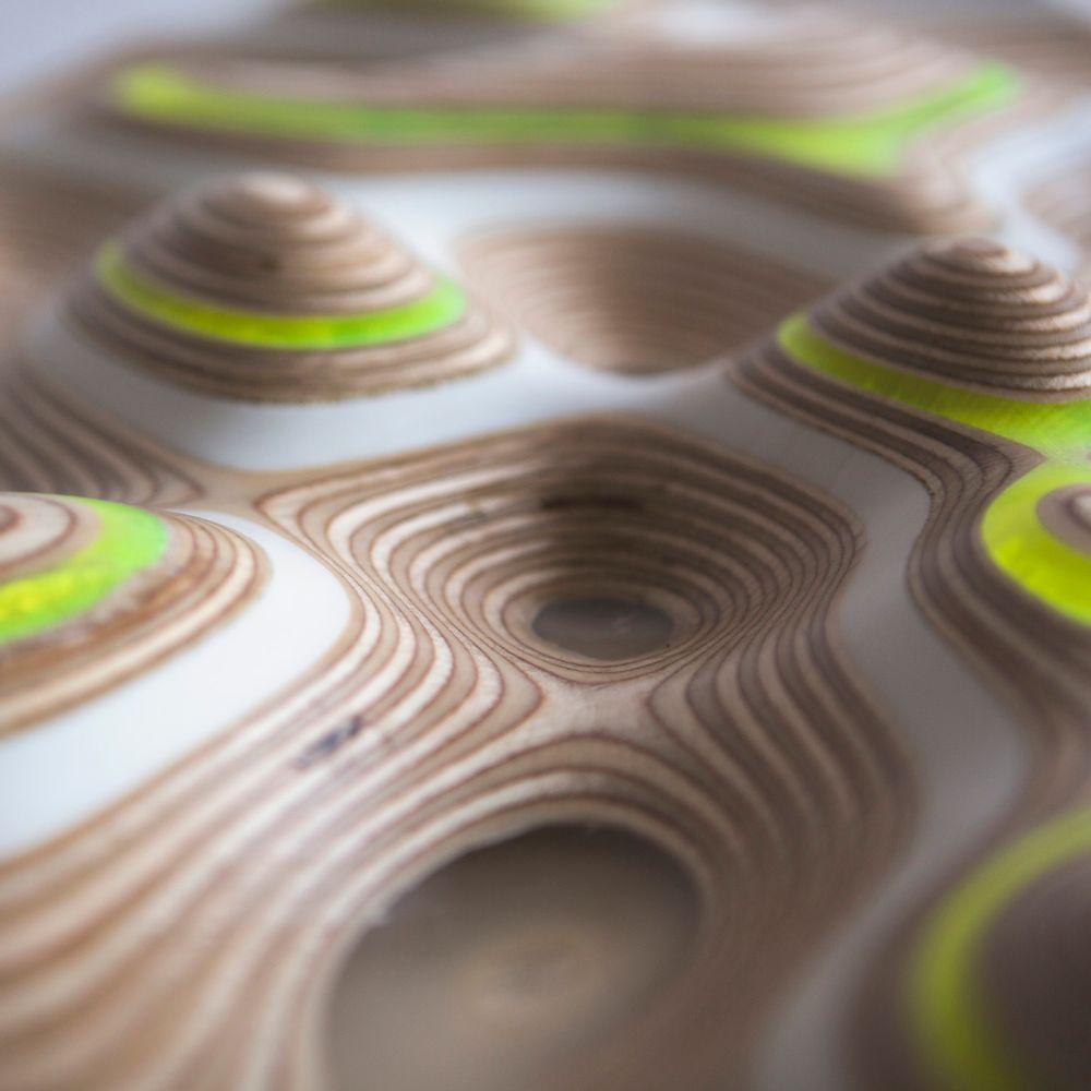 Decorative objects - DIGISCAPE Wall artwork - APICAL REFORM
