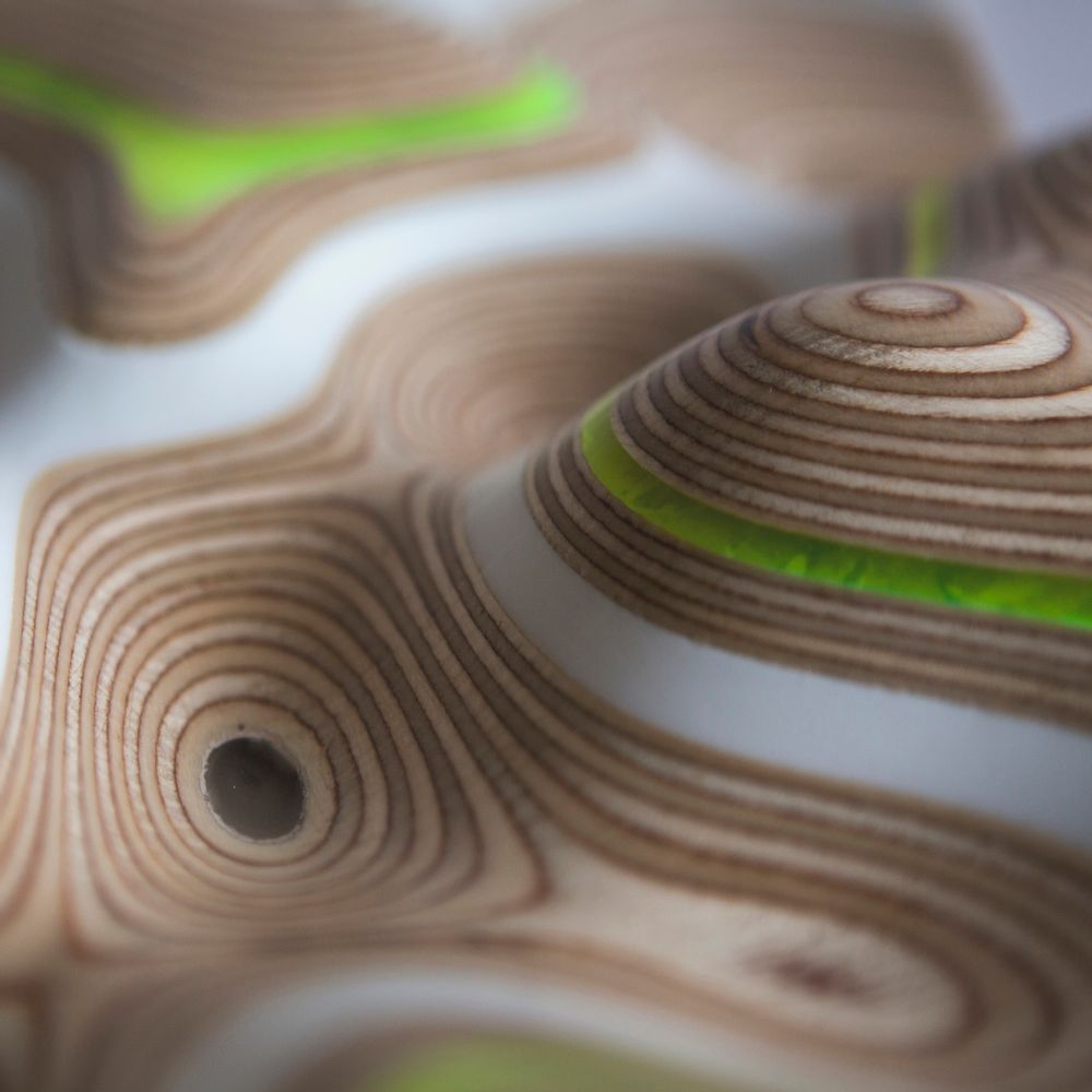 Decorative objects - DIGISCAPE Wall artwork - APICAL REFORM