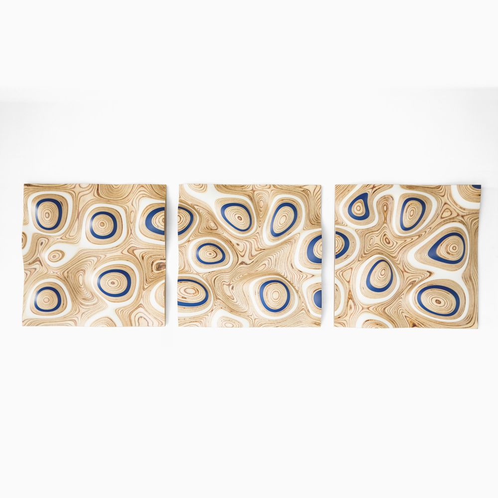 Decorative objects - DIGISCAPE Wall artwork - APICAL REFORM