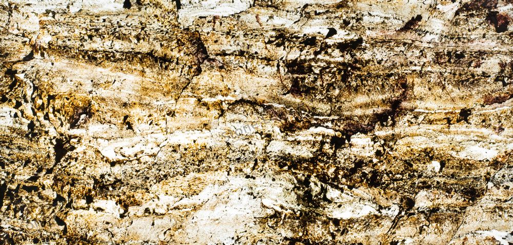 Cloisons - Translucide Goa - STONELEAF