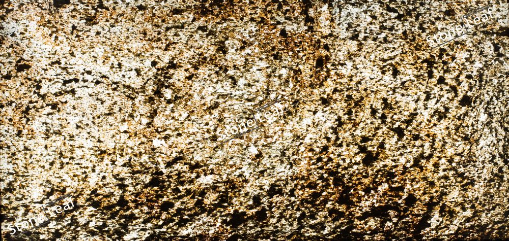 Partitions - Translucent Paris - STONELEAF