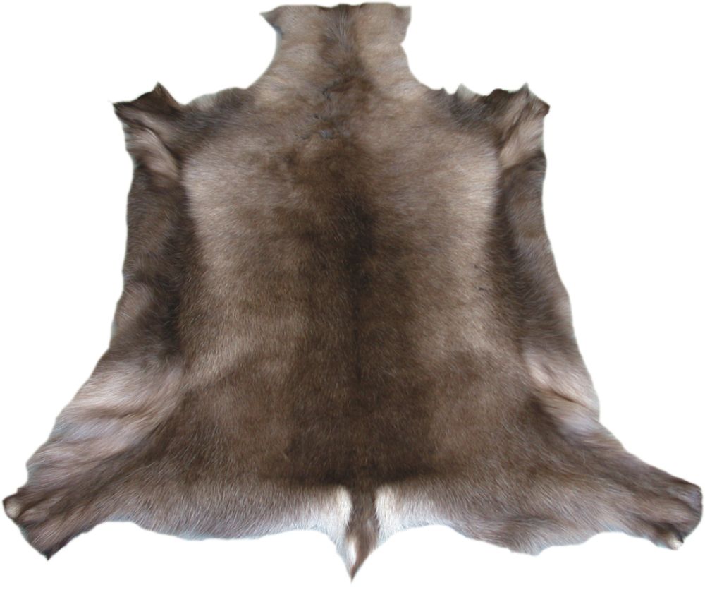 Tapis classiques - Peau de renne naturelle - TERGUS