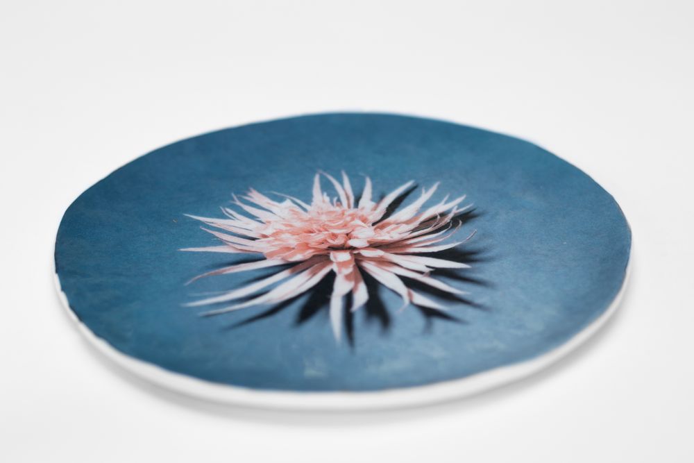 Decorative objects - “Fiori”  Plate Ø18cm - VETROFUSO DI DANIELA POLETTI