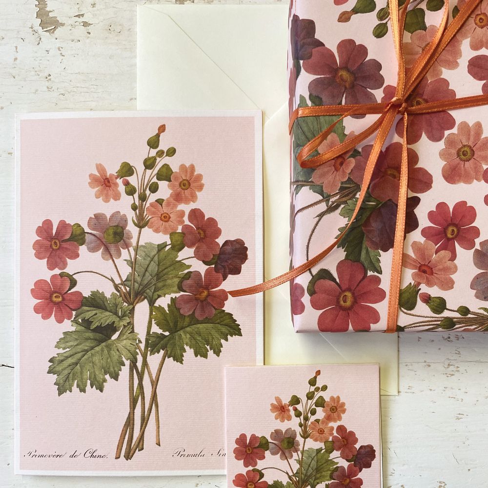 Carterie - Cartes de vœux avec enveloppe "Primula Sinensis" - TASSOTTI - ITALY