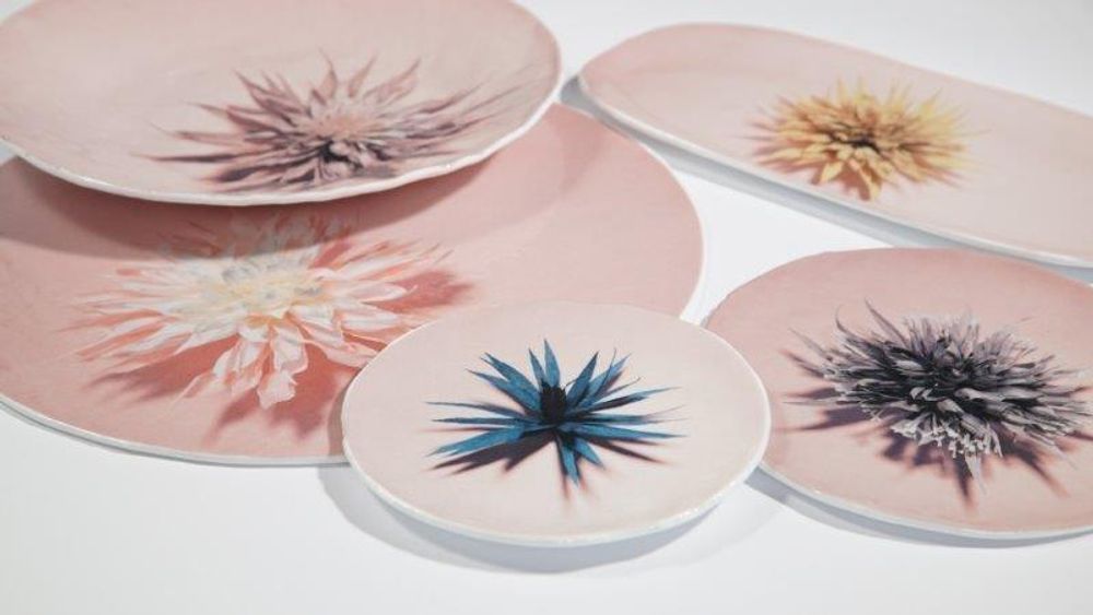 Decorative objects - “Fiori”  Plate Ø18cm - VETROFUSO DI DANIELA POLETTI