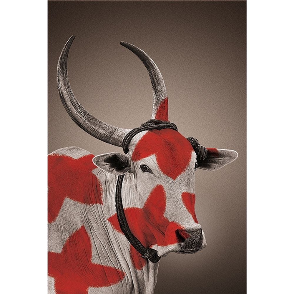 Poster - NANDI wall posters - NO-MAD