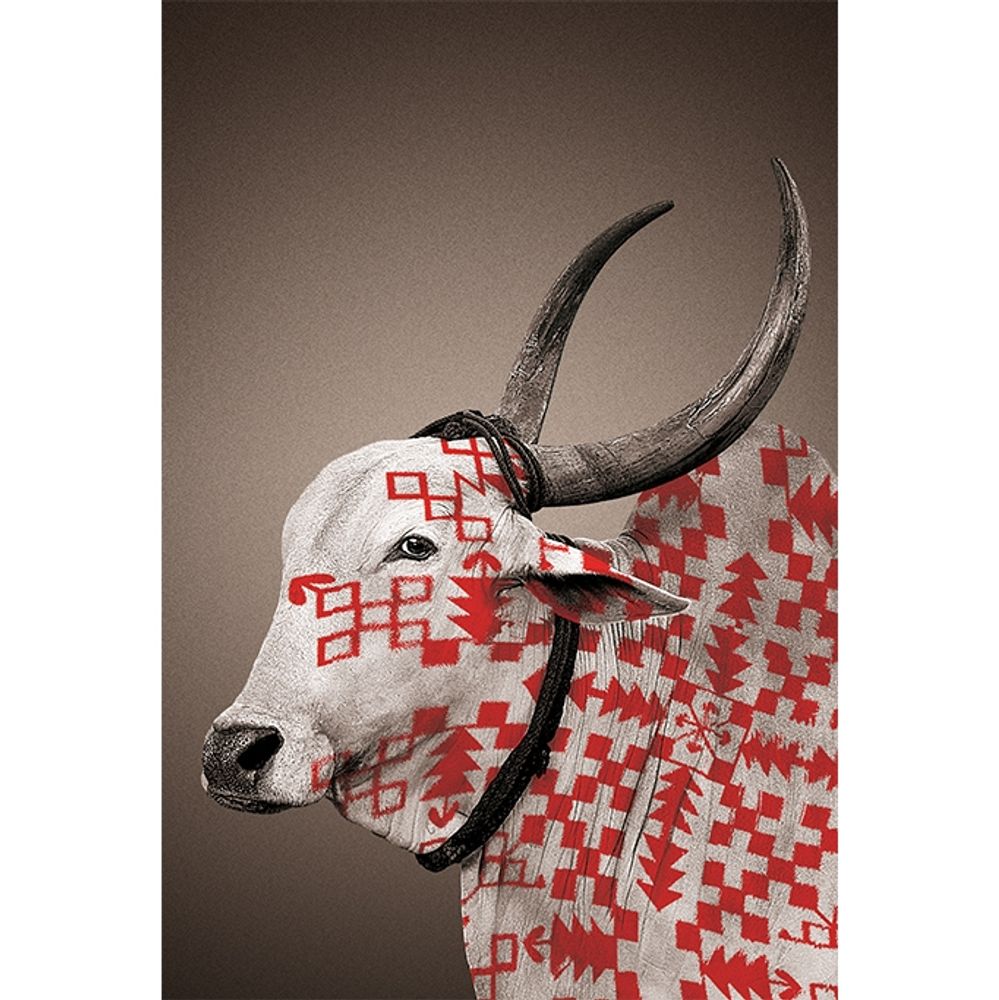 Poster - NANDI wall posters - NO-MAD
