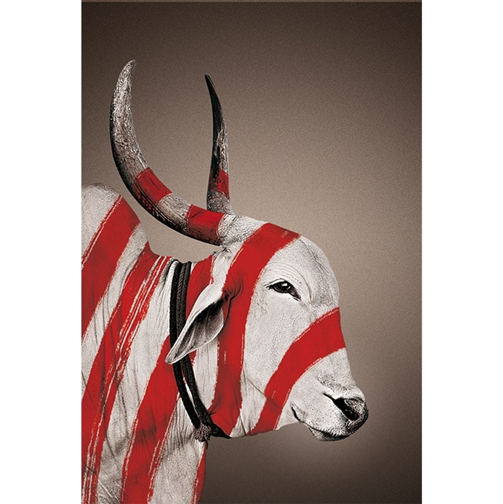 Poster - NANDI wall posters - NO-MAD