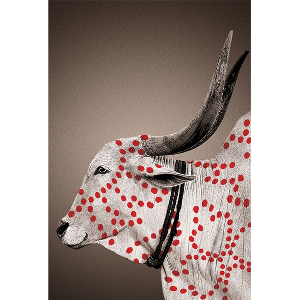 Poster - NANDI wall posters - NO-MAD