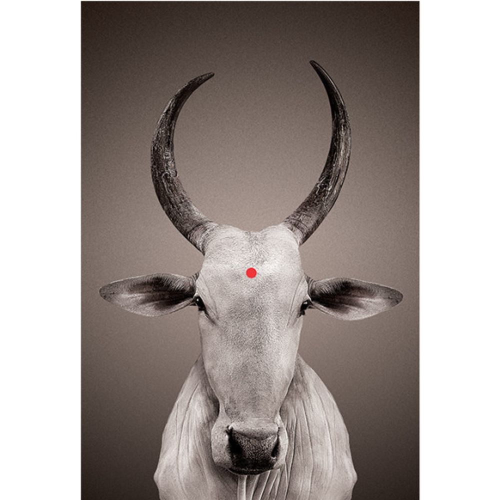 Poster - NANDI wall posters - NO-MAD