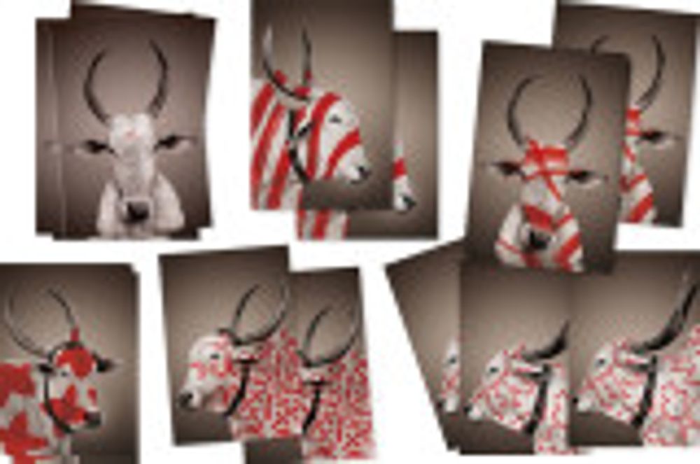 Poster - NANDI wall posters - NO-MAD