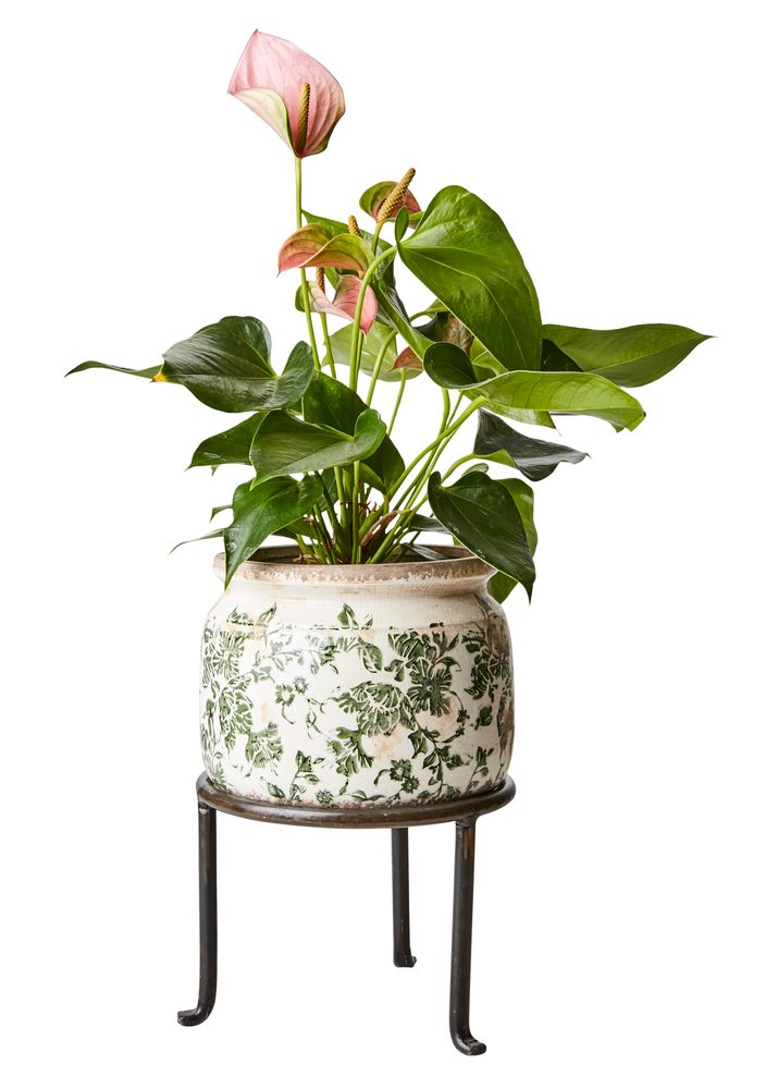 Pottery - VICTORIA Pot - AFFARI OF SWEDEN