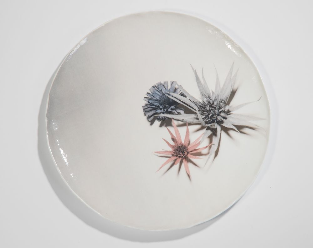 Decorative objects - “Fiori”  Plate Ø18cm - VETROFUSO DI DANIELA POLETTI