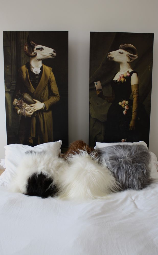 Cushions - Coussin peau de mouton blanc islandais - TERGUS