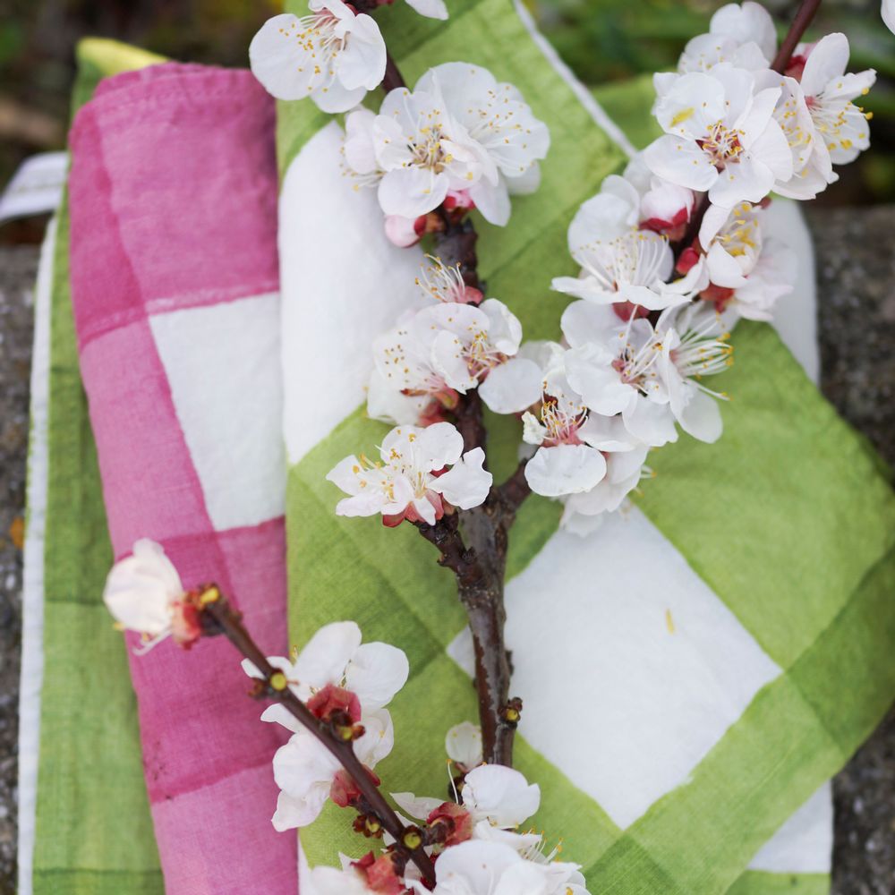 Table linen - QUADRETTATO - BERTOZZI