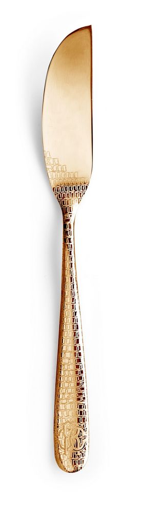 Ménagères - Lizzard Gold Cutlery - ROBERTO CAVALLI HOME TABLEWARE