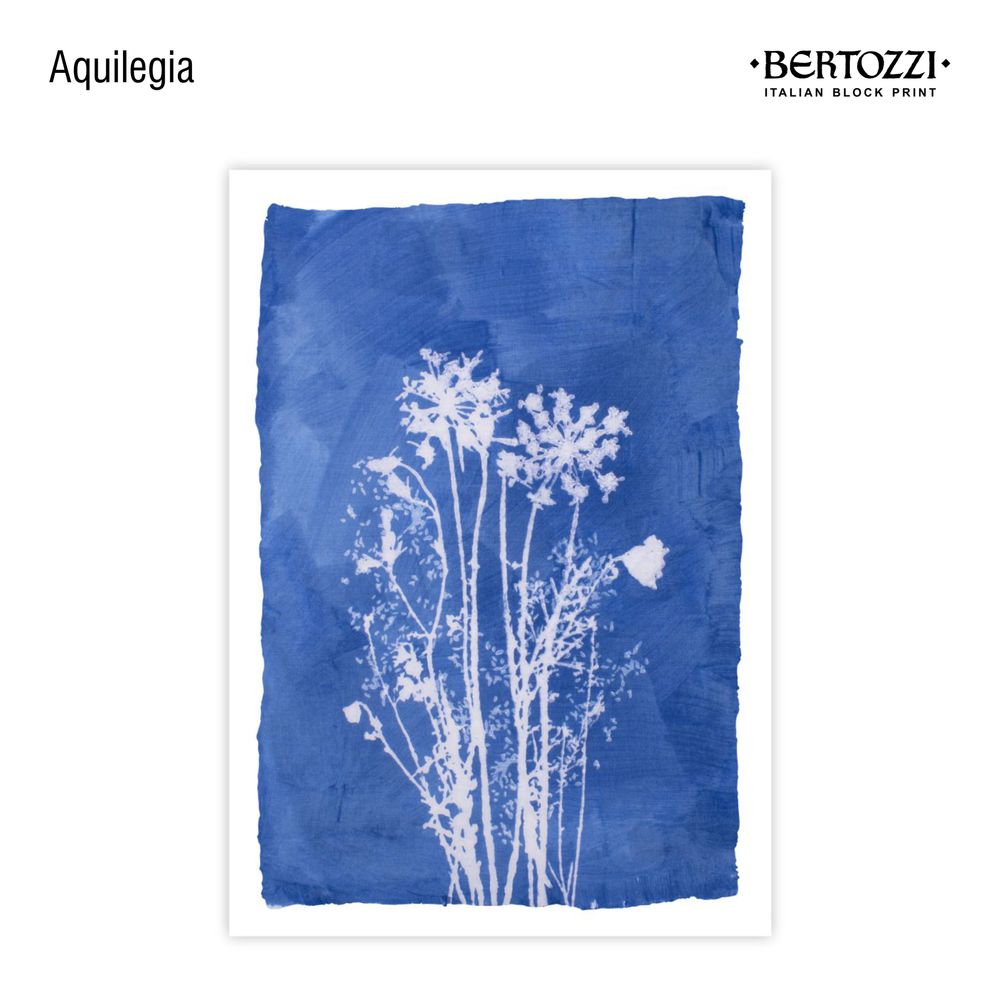 Table linen - BLUE PRINT COLLECTION - Vademecum - BERTOZZI