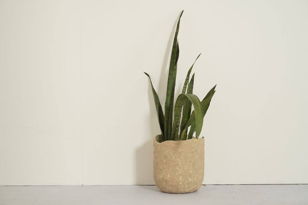 Vases - Paper Clay Bark Planter - INDIGENOUS