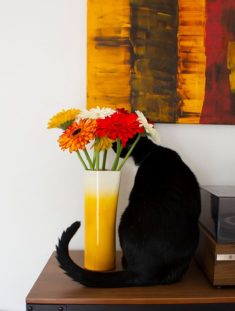 Carafes - Flua jug - DEDAL