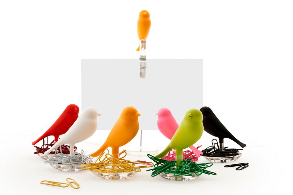 Decorative objects - Nest Sparrow Clips + Holder : Stationery Collection Environmentally Friendly Material - QUALY DESIGN OFFICIAL