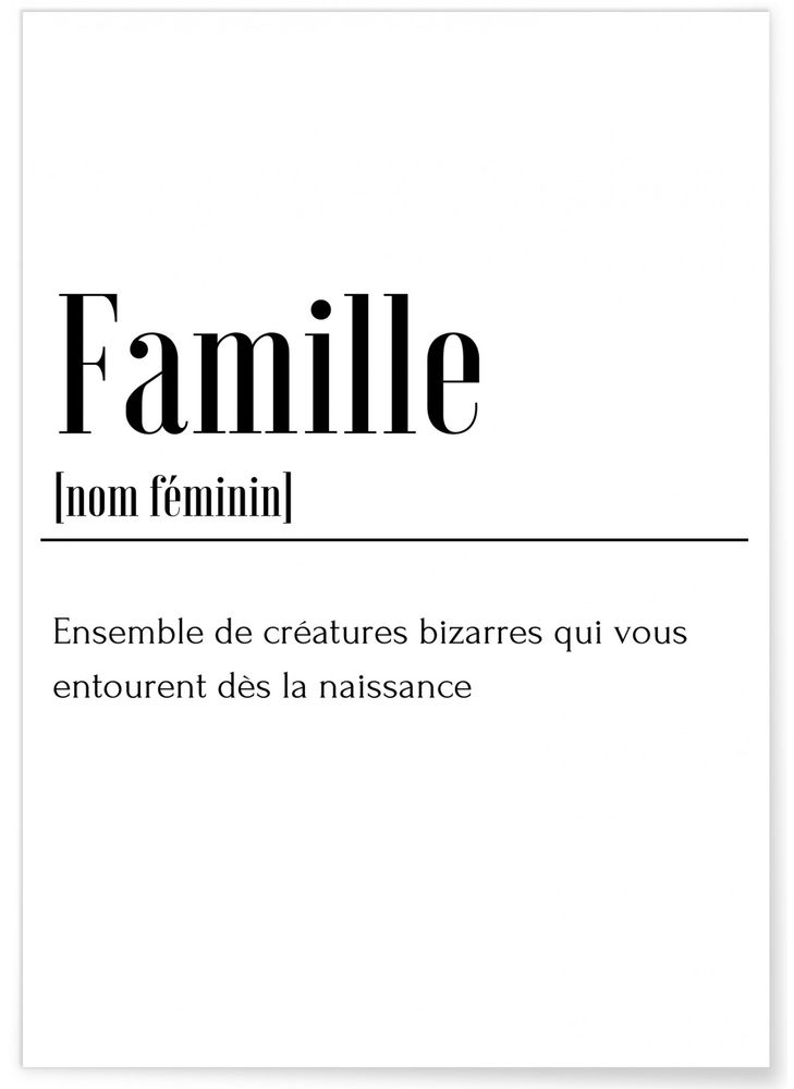 Poster - POSTERS DEFINITIONS FAMILY - L'AFFICHERIE