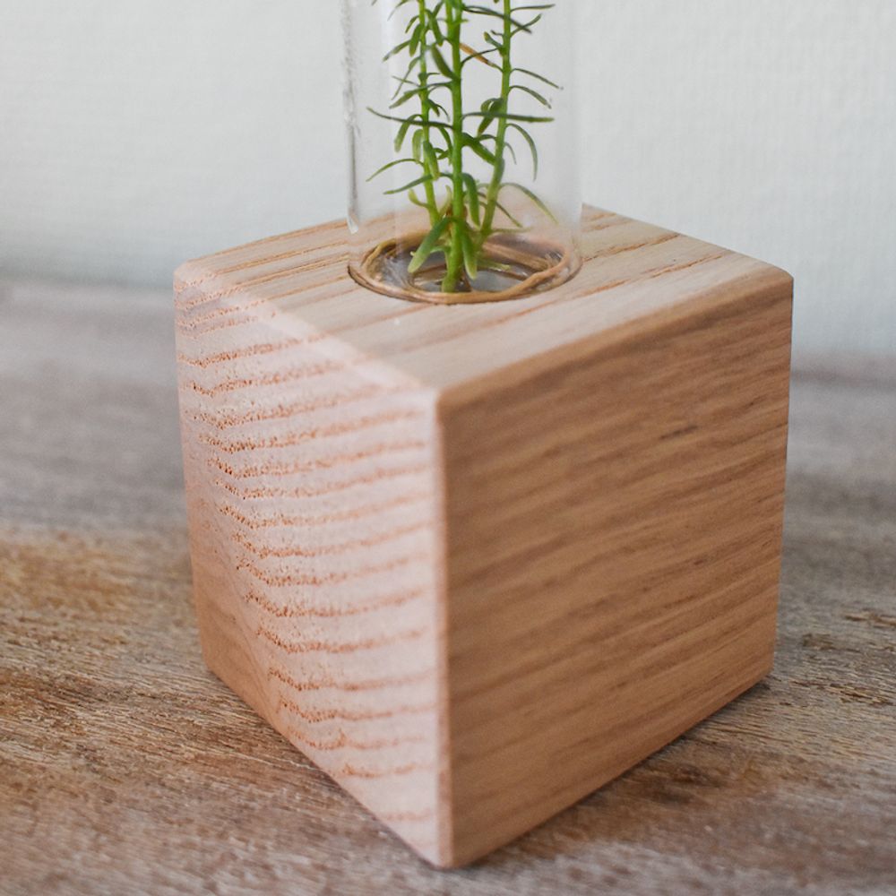 Decorative objects - Sequoia plantaphore — French chestnut wood base - INPLANTA