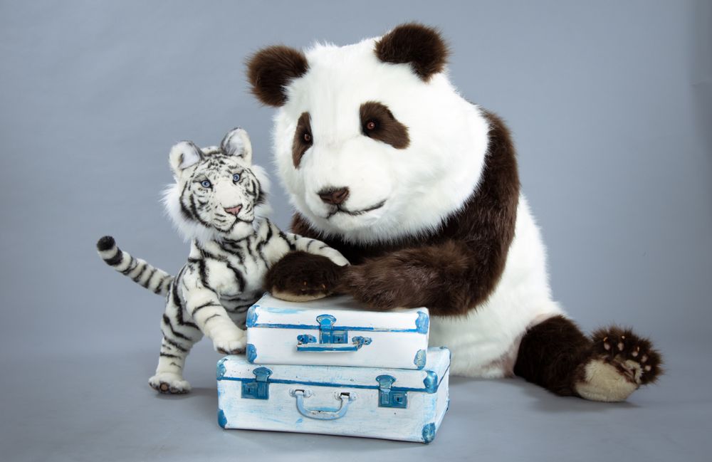 Pièces uniques - Peluche Ours Panda. étalage - KATERINA MAKOGON