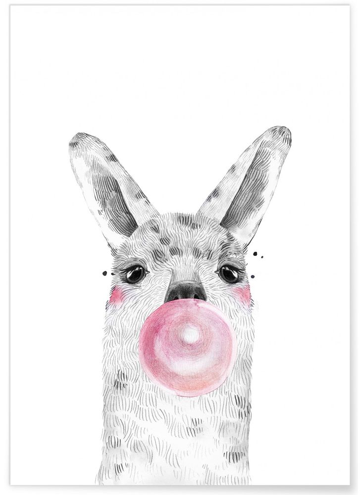 Affiches - AFFICHES BULLES ANIMAUX - L'AFFICHERIE
